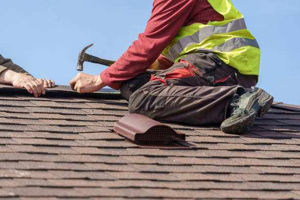 Best Metal Roofing Contractor  in Grant Park, IL
