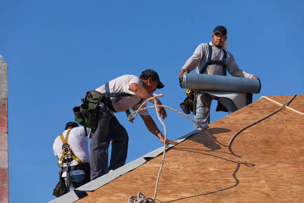 Best Shingle Roofing Installation  in Grant Park, IL