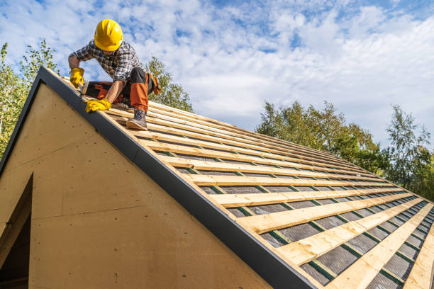 Best Roof Repair Services  in Grant Park, IL