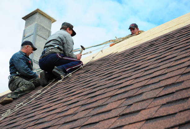 Best Local Roofing Companies  in Grant Park, IL